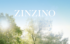 牵手“有赞”！圣希诺Zinzino进军中国市场首